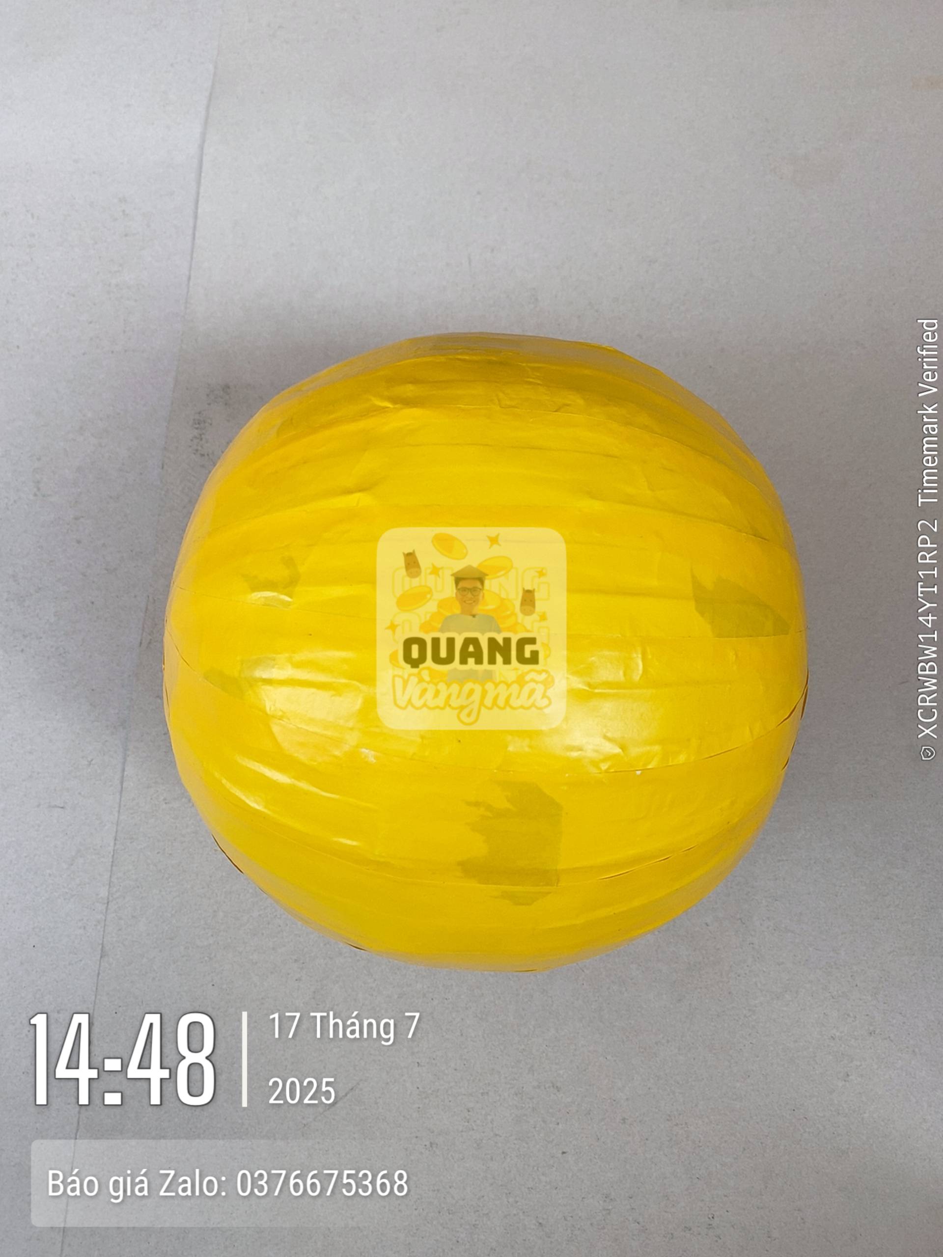 Quả bóng chuyền